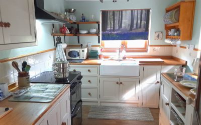Allan & Dale’s small kitchen project