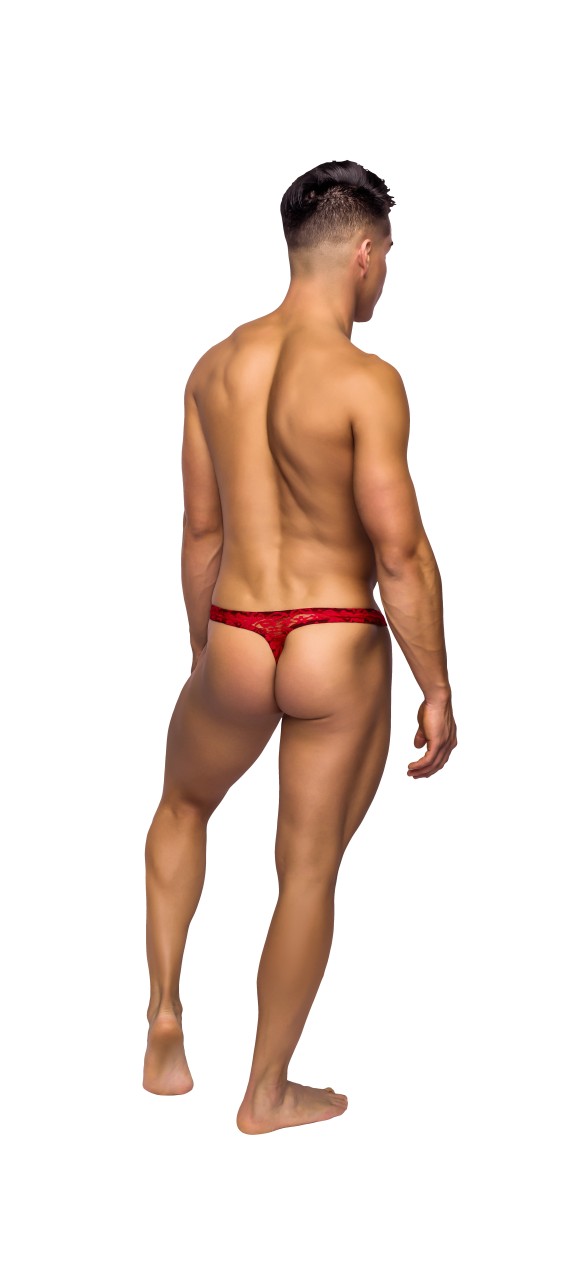 Bong Thong - MP442162 - Image 4