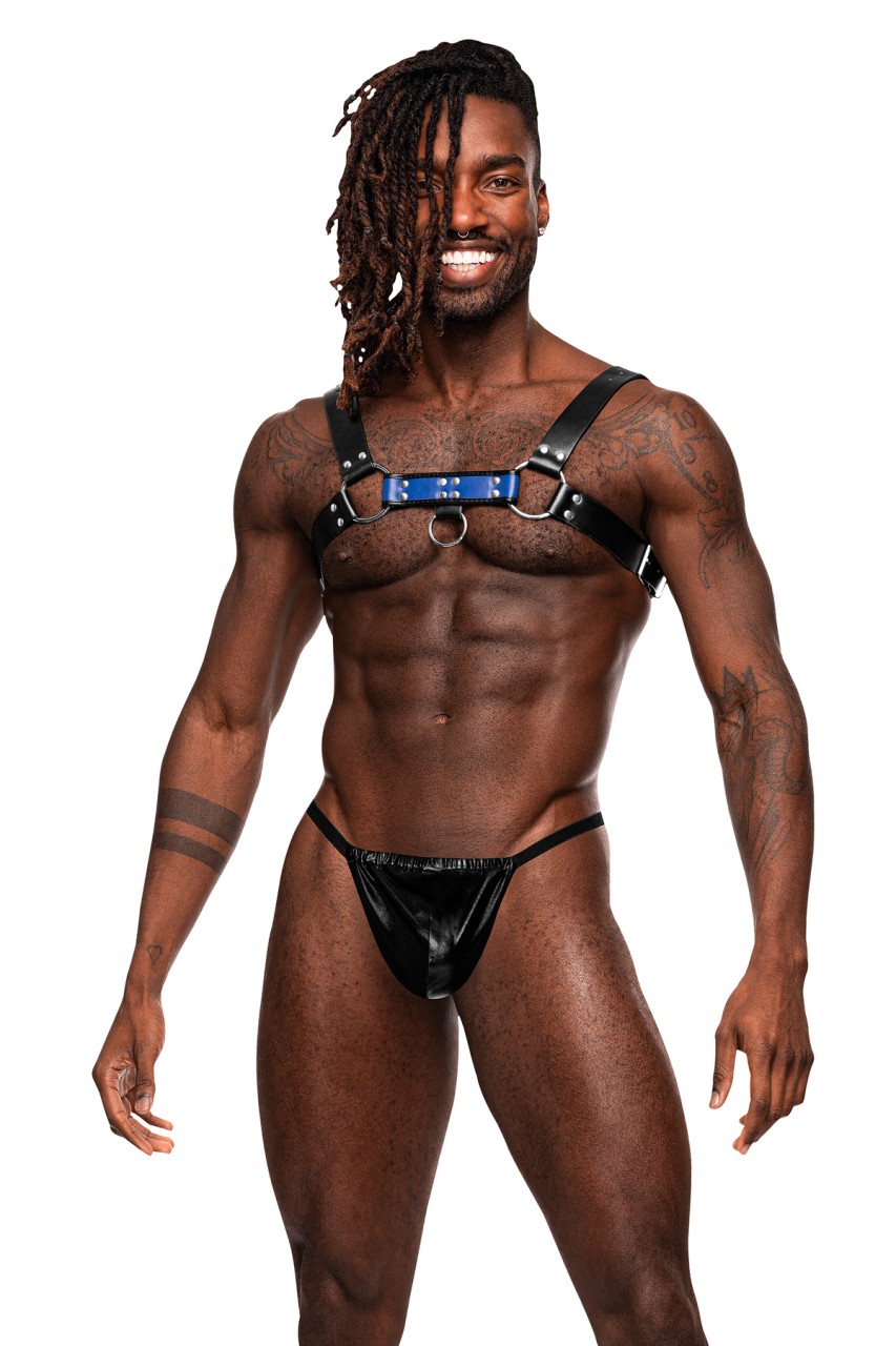 Aries - MP590266 - Image 4