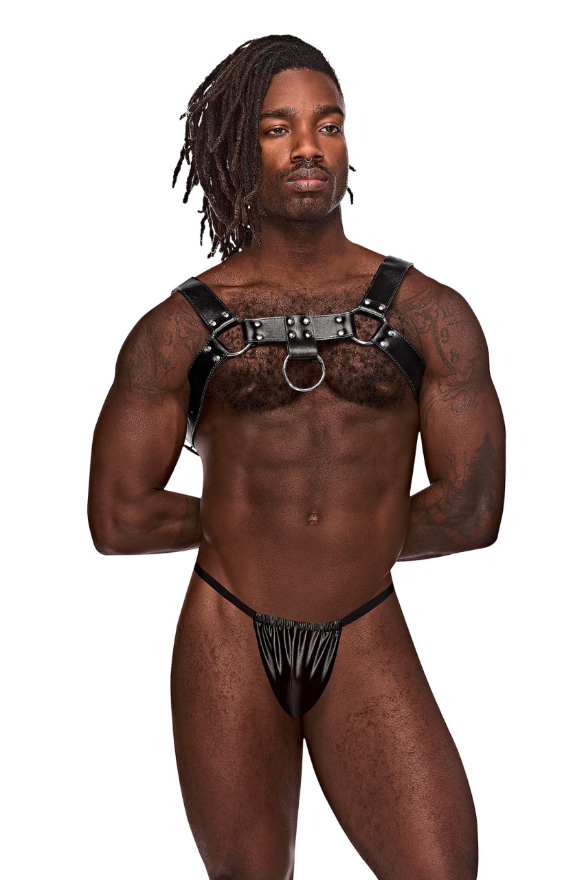 Aries - MP590266 - Image 2