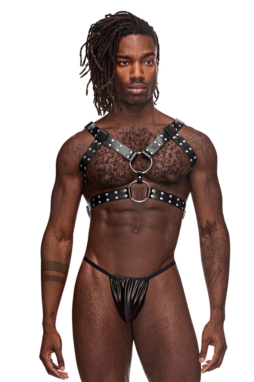 Gemini - MP591266 - Image 3