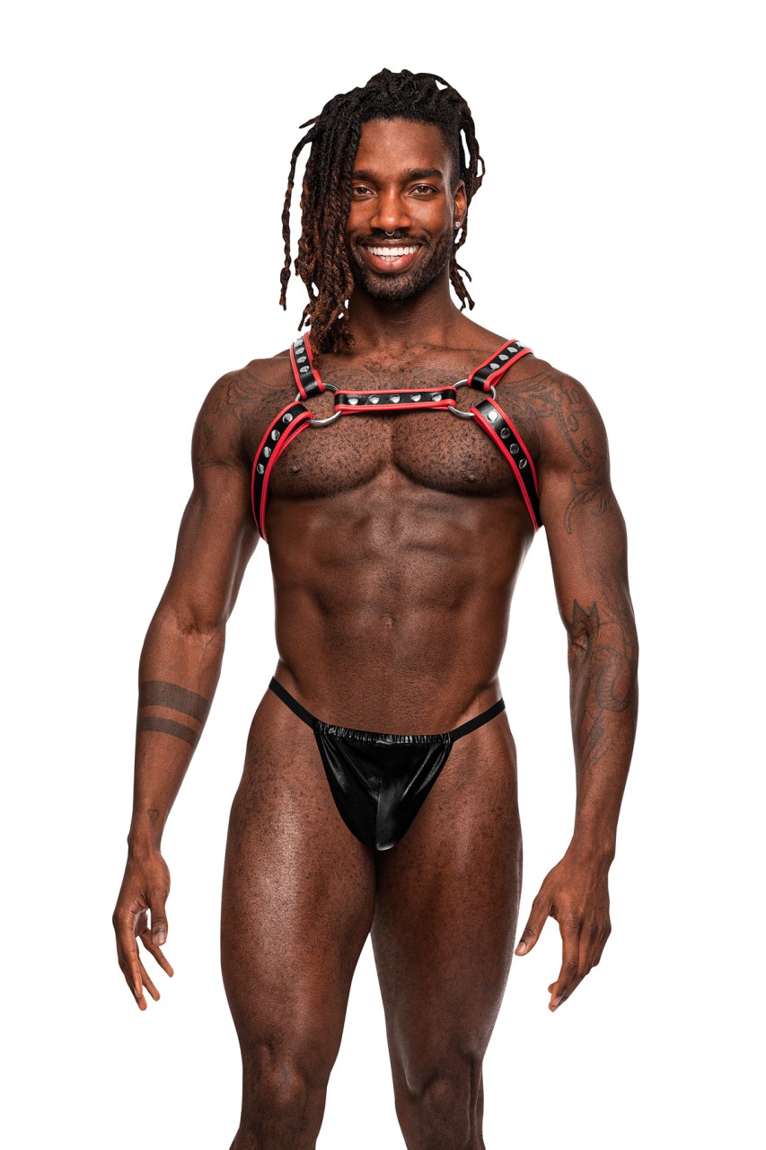 Leo - MP596266 - Image 3