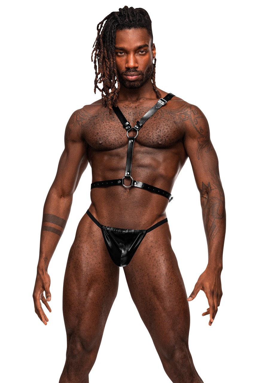 Sagittarius - MP597266 - Image 3