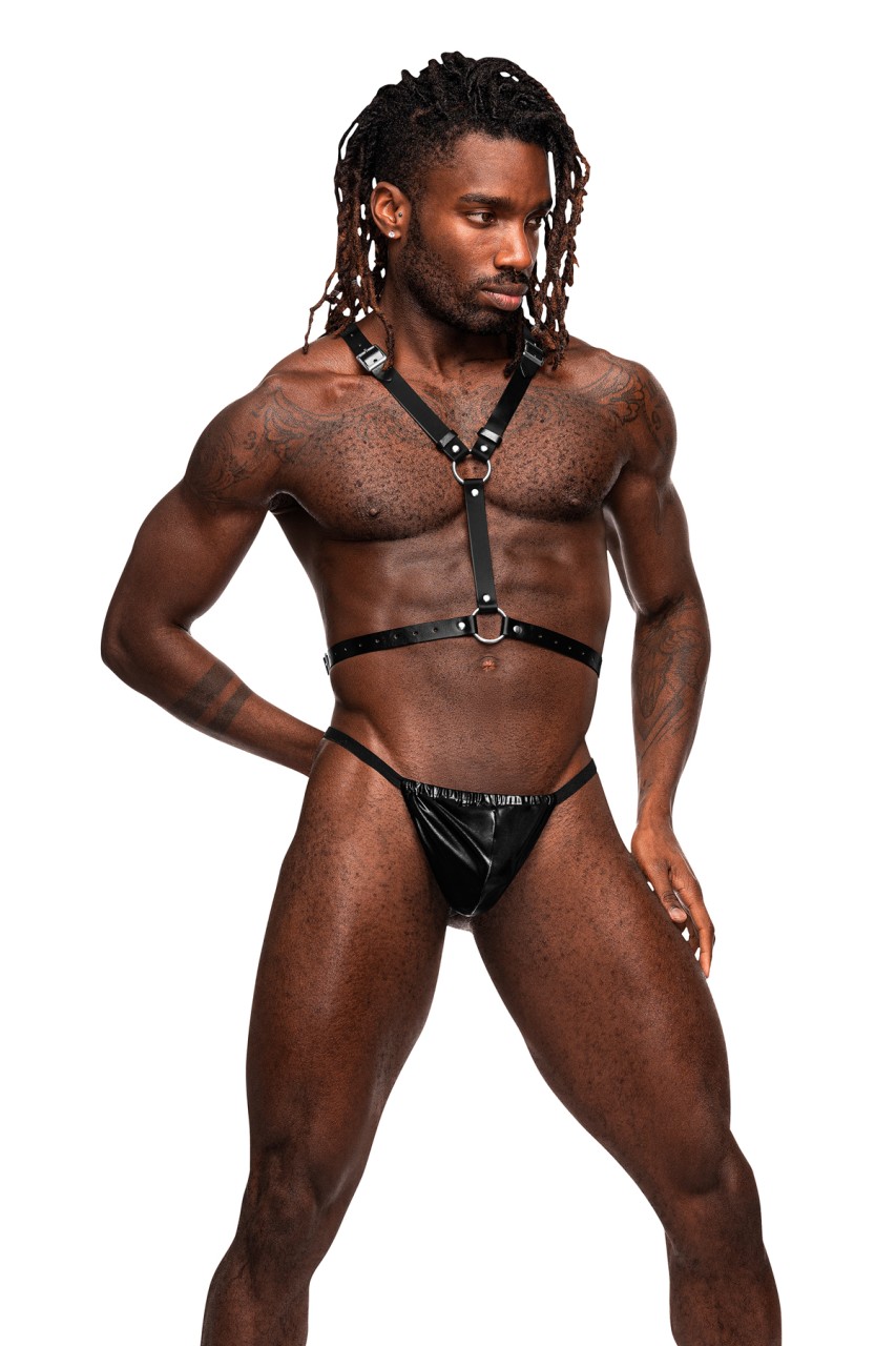 Sagittarius - MP597266