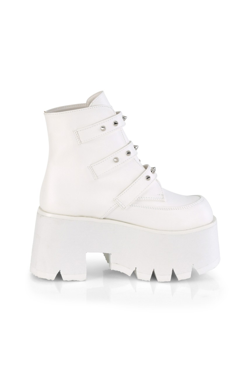 ASH55/WVL - ASHES-55 - Image 4