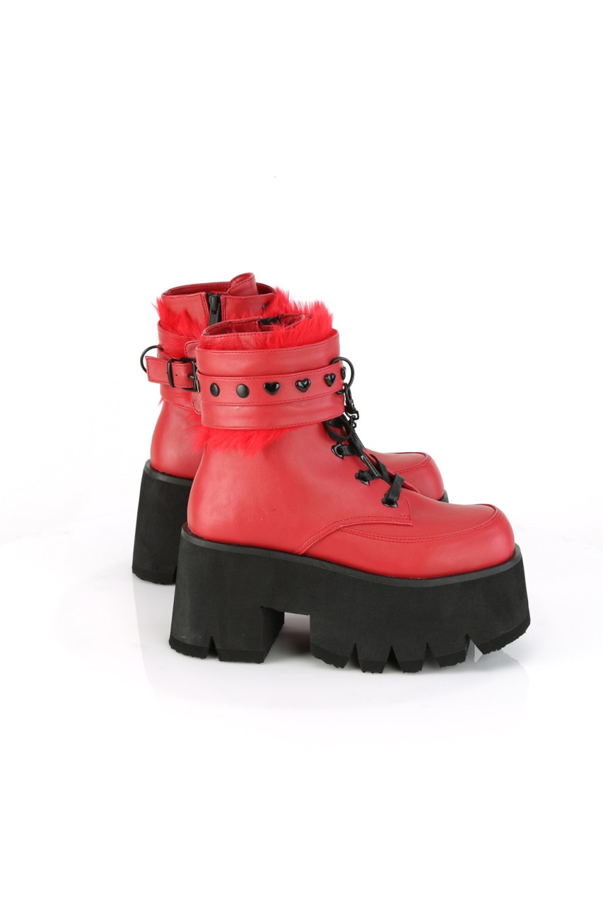 ASH57/RVL - ASHES-57 - Image 4