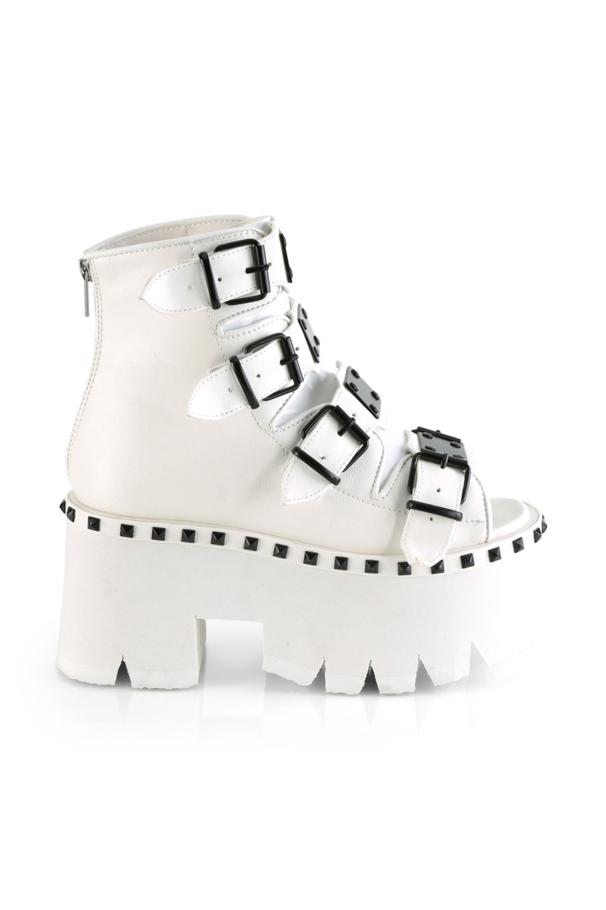 ASH70/WVL - ASHES-70 - Image 4