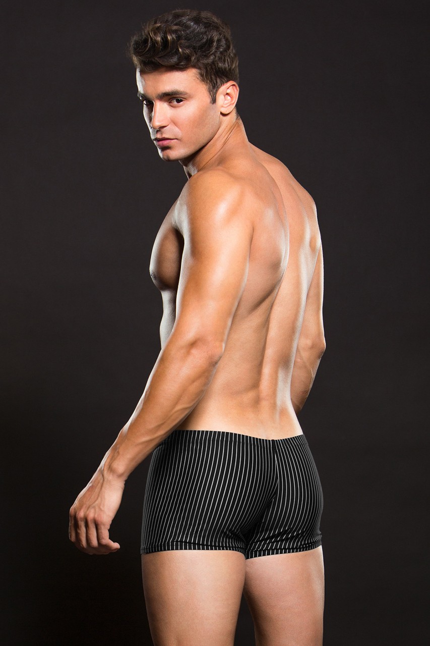 Microfiber Boxer White Pinstripe - BEV041