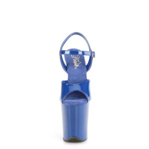 FLAM809/RYBL/M - FLAMINGO-809