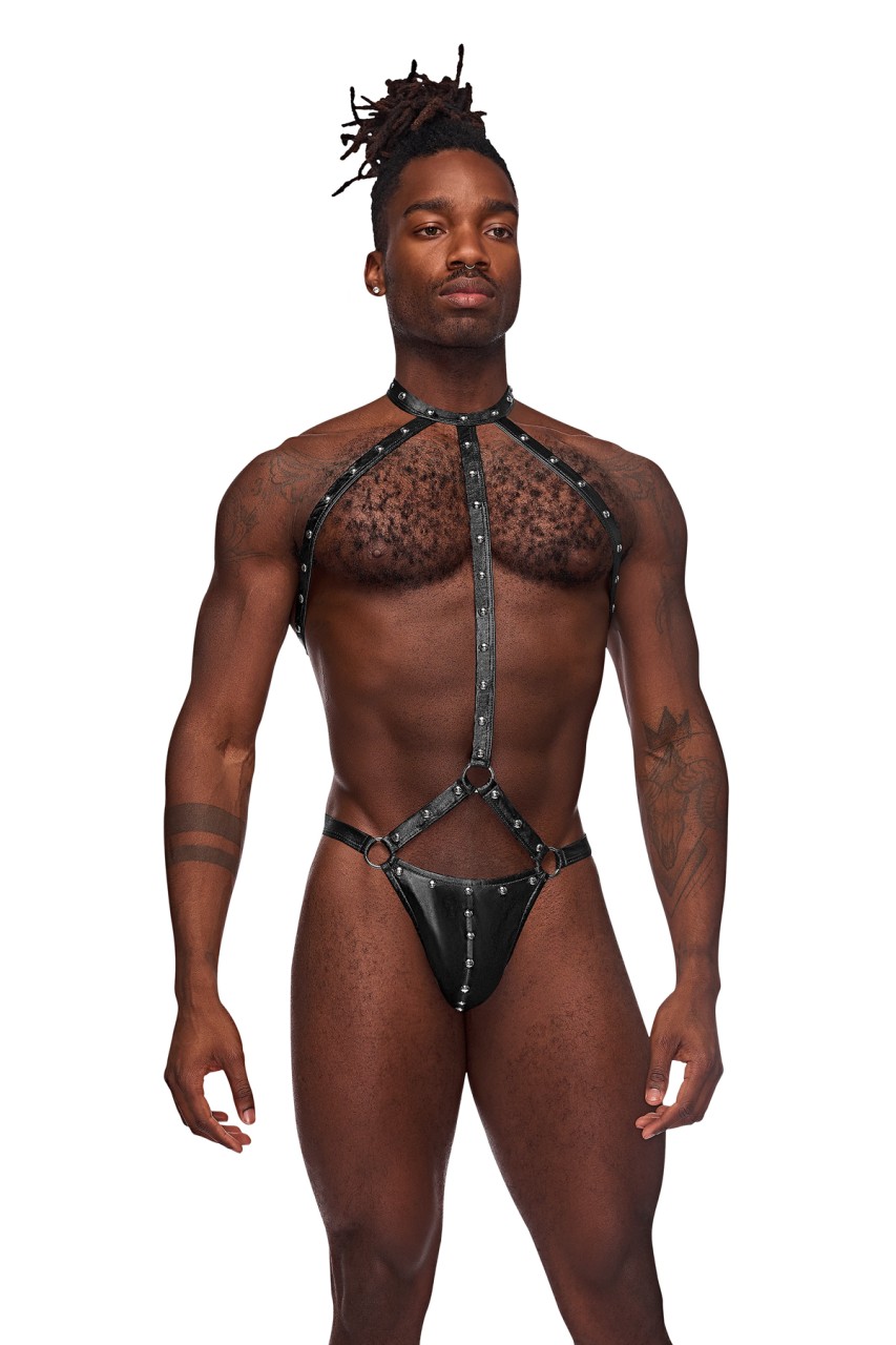 Gladiator - MPPAK133 - Image 3