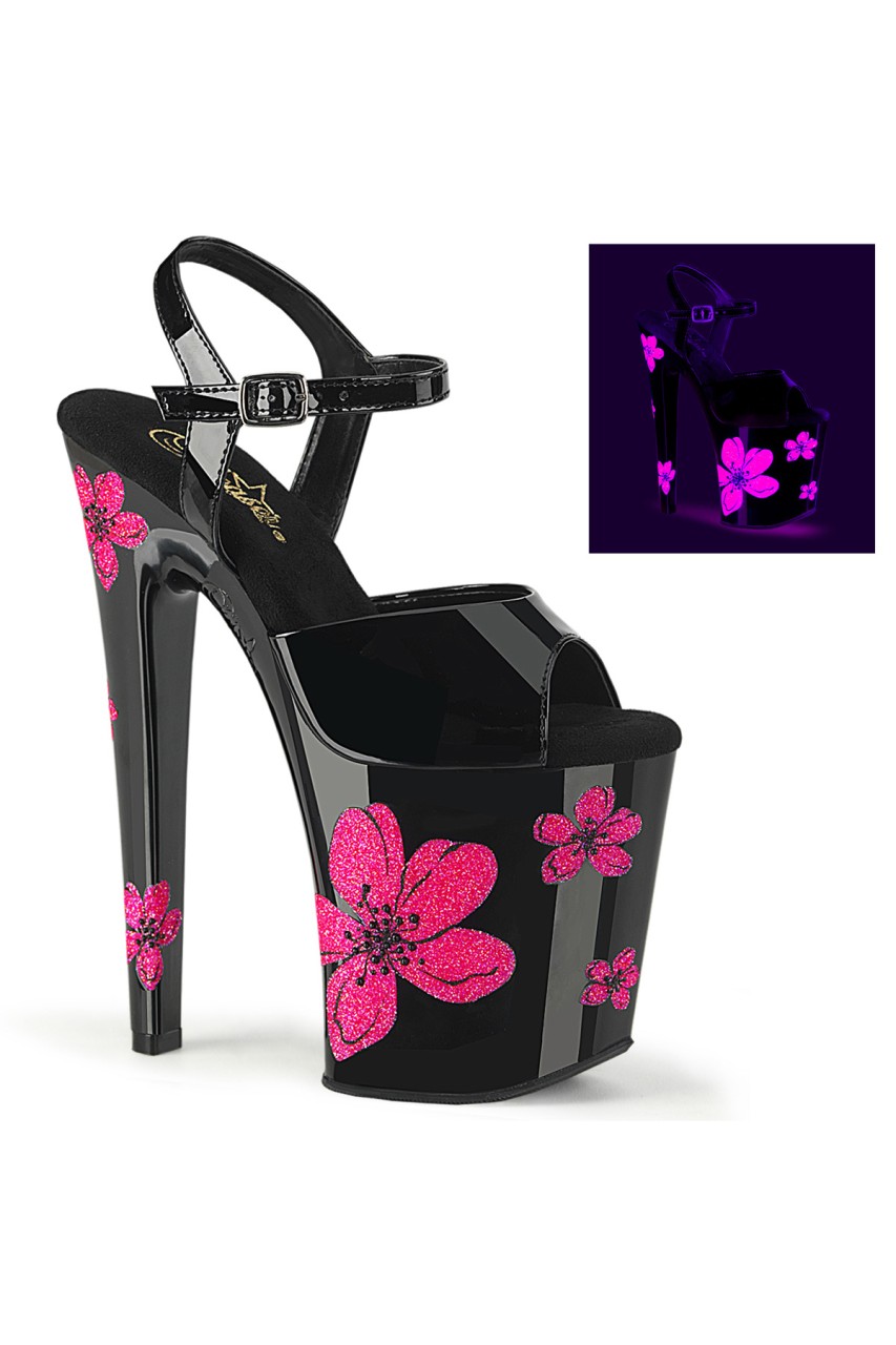 XTM809HB/B/B-NPNK - XTREME-809HB